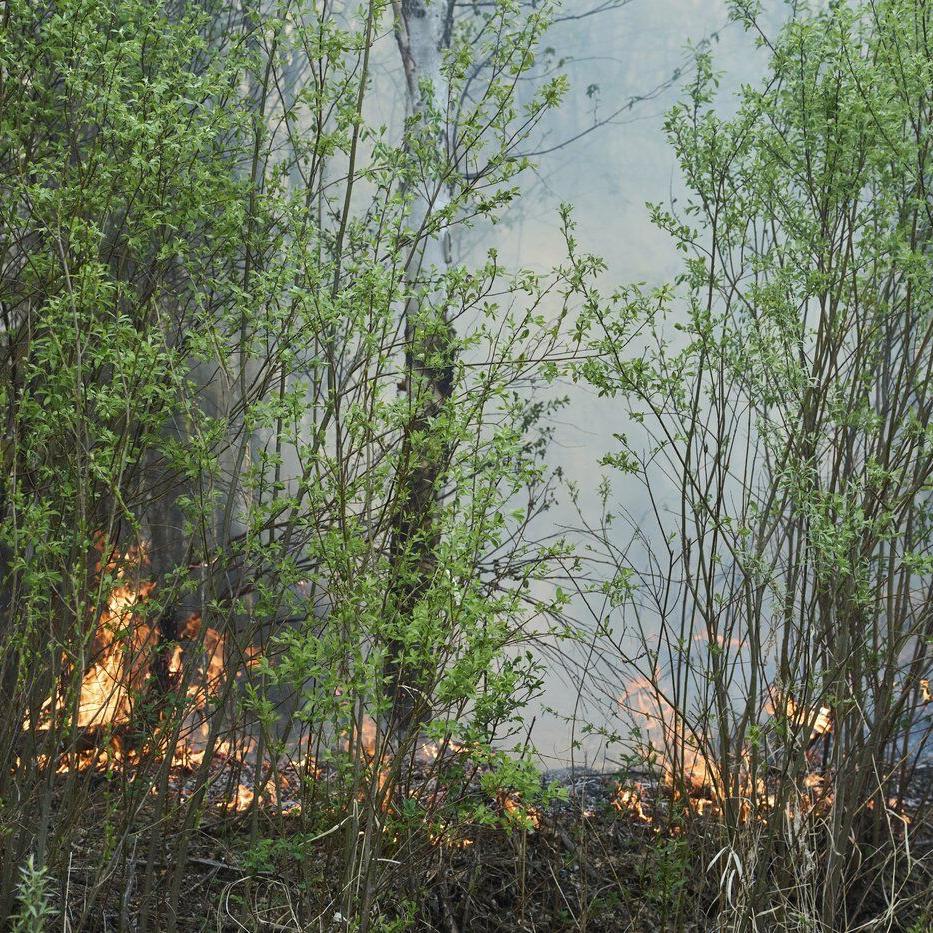 Satellite images reveal conditions that contributed to 'catastrophic' wildfire season